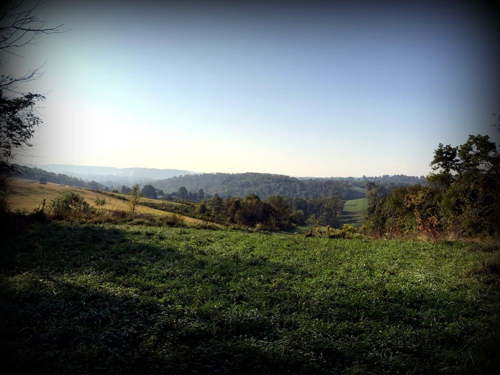 ±87 Acres Land: Route 519, North Strabane, PA 15317